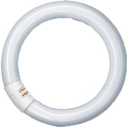 Ringlamp NL-T9  32W/840C/ voet G10Q 