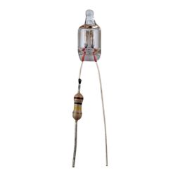 Mini-neon gloeilamp 230V 3,8x10mm 