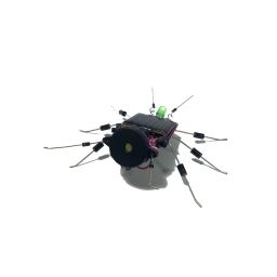 Insect - zonne-energie WSAK185 