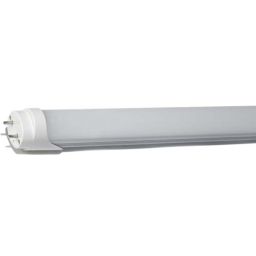 ***T8 Led lamp 60cm - Daylight 