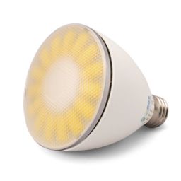 Ledspot PAR30 - E27 - 90° - 10W Koud Wit Dimbaar *** 