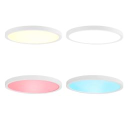 Plafondlamp - RGB / Warm tot Koud Wit - Smartlife - 16GTRF7 