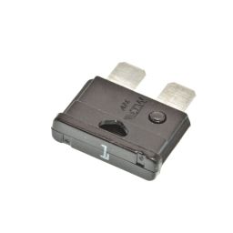 Autozekering - 32V - 1A - Zwart